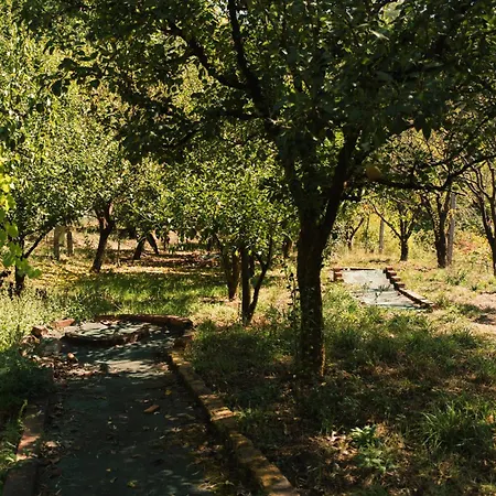 Quinta Do Pomarinho - By Rowdhouses *