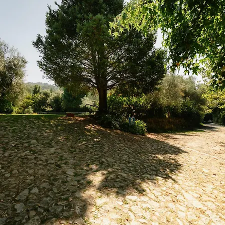 Quinta Do Pomarinho - Alloggio per agriturismo