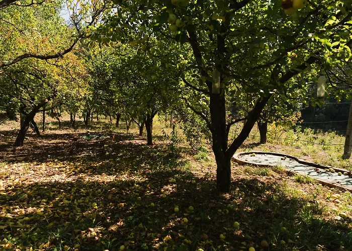 Alloggio per agriturismo Quinta Do Pomarinho - By Rowdhouses *