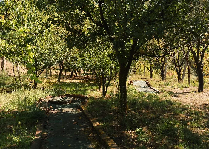 Quinta Do Pomarinho - By Rowdhouses *